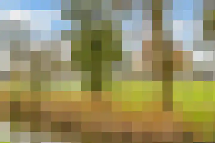 Terentiuslaan 3 Utrecht thumbnail 62