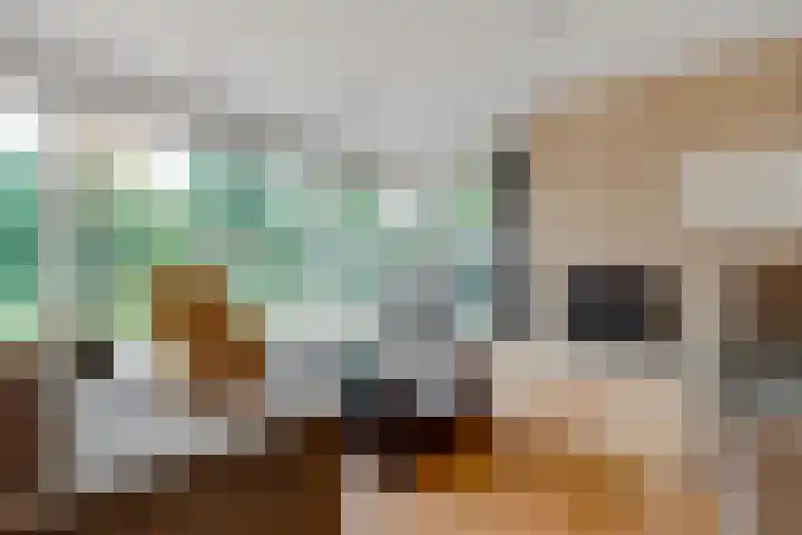 Terentiuslaan 3 Utrecht thumbnail 7