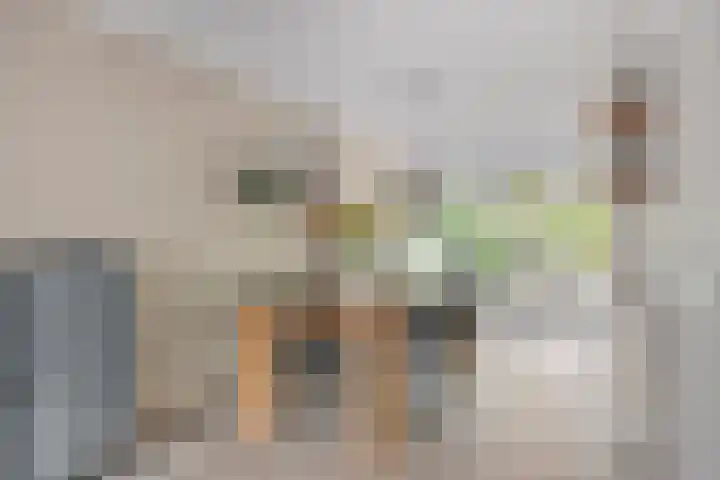 Teresaplein 19 Zetten thumbnail 15