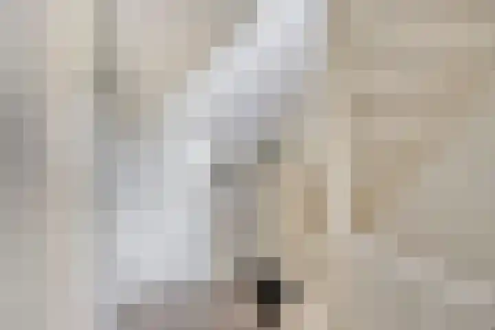 Teresaplein 19 Zetten thumbnail 23