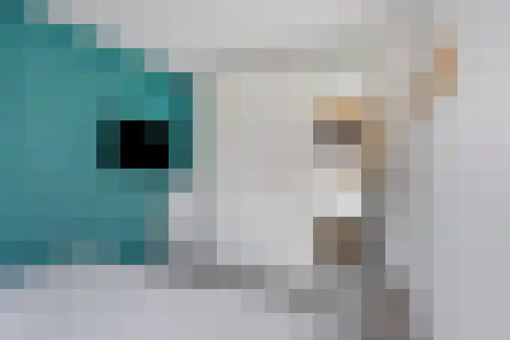 Teresaplein 19 Zetten thumbnail 26