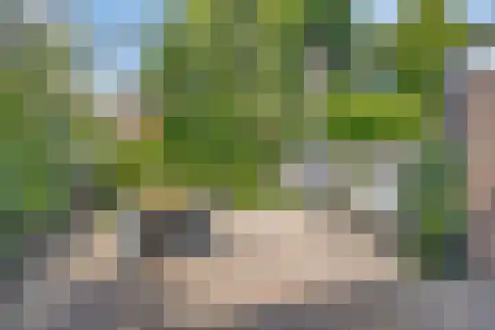 Teresaplein 19 Zetten thumbnail 38