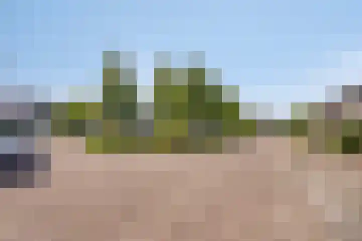 Teresaplein 19 Zetten thumbnail 45