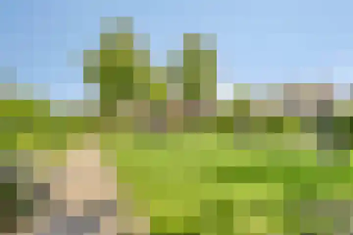 Teresaplein 19 Zetten thumbnail 46