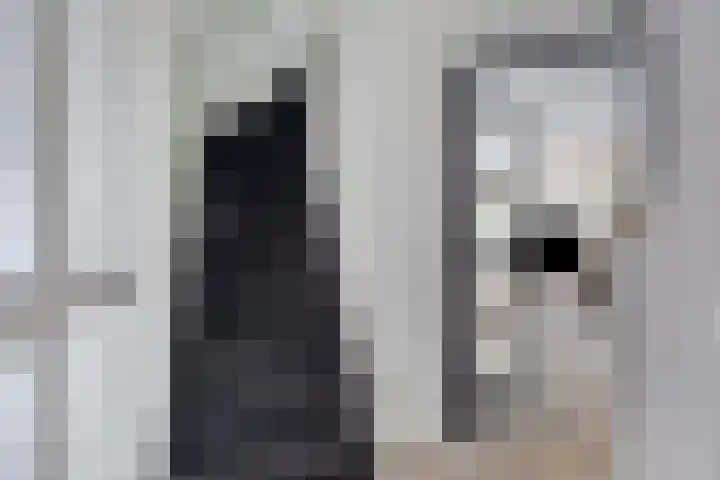 Teresaplein 19 Zetten thumbnail 8