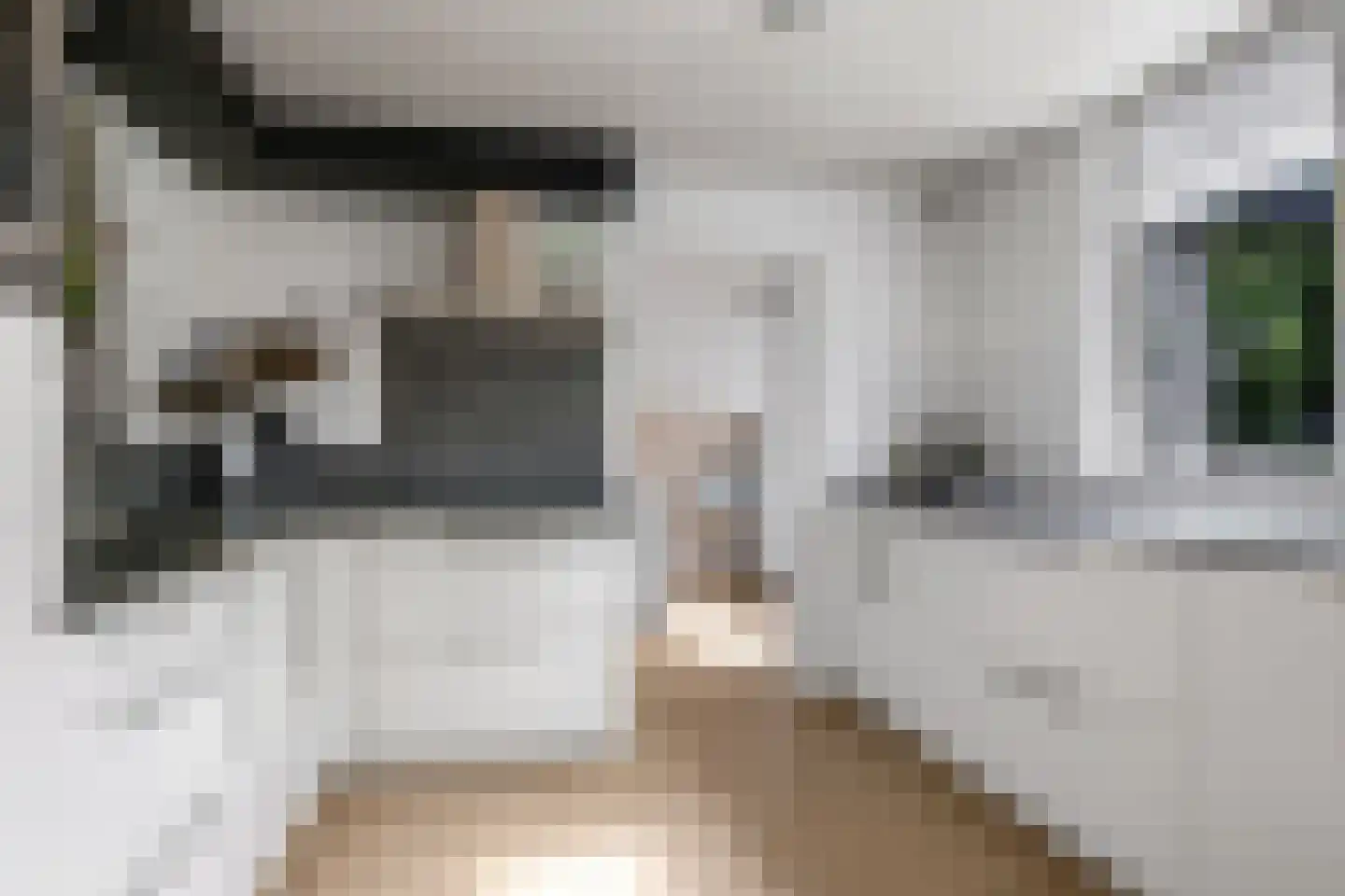 Teresaplein 6 Zetten thumbnail 24