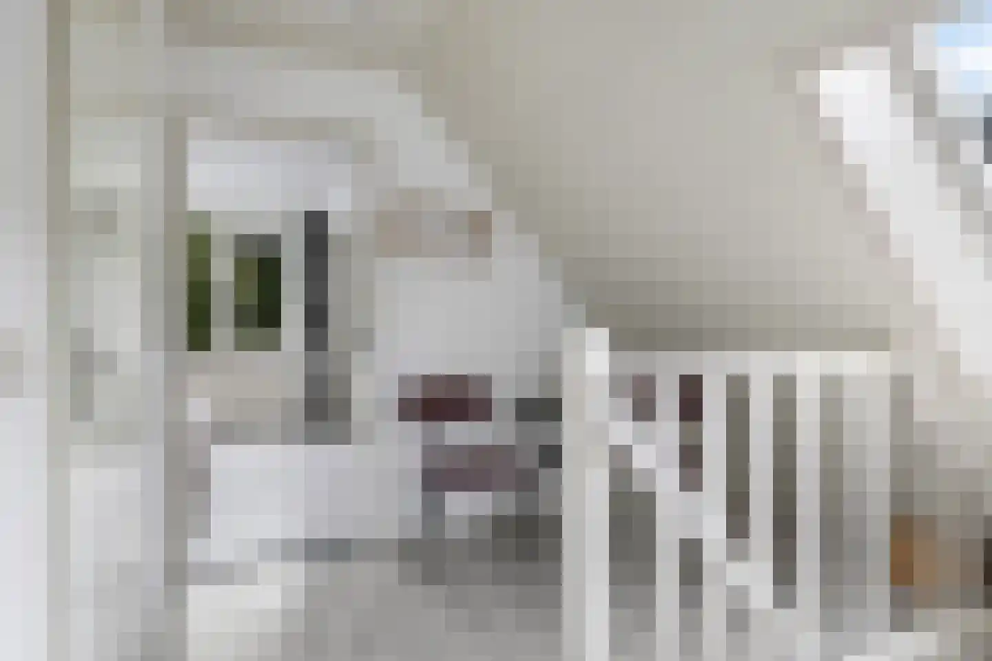 Teresaplein 6 Zetten thumbnail 40