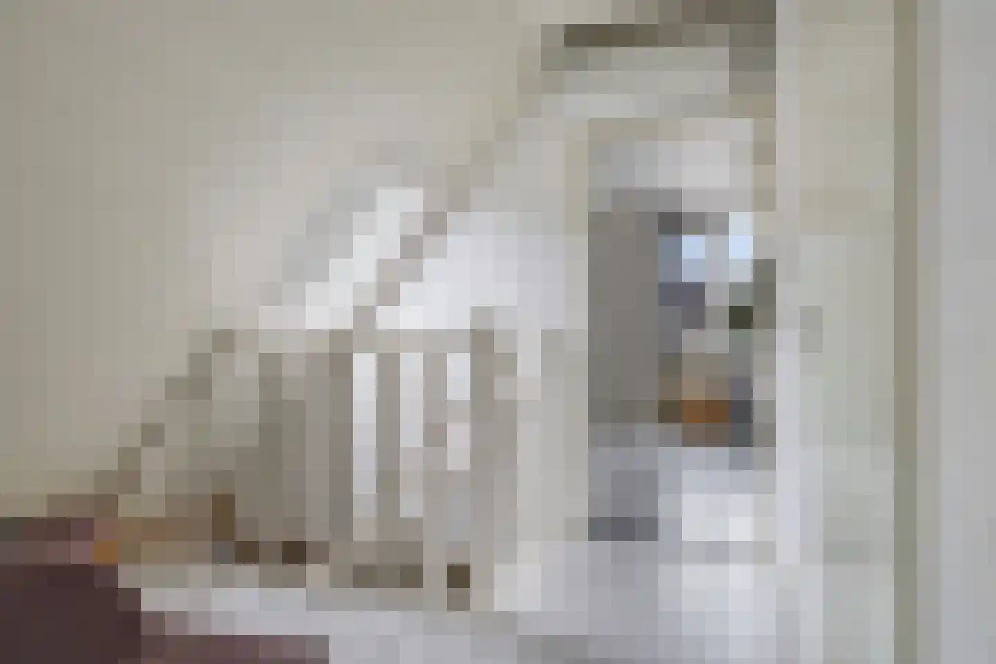 Teresaplein 6 Zetten thumbnail 46