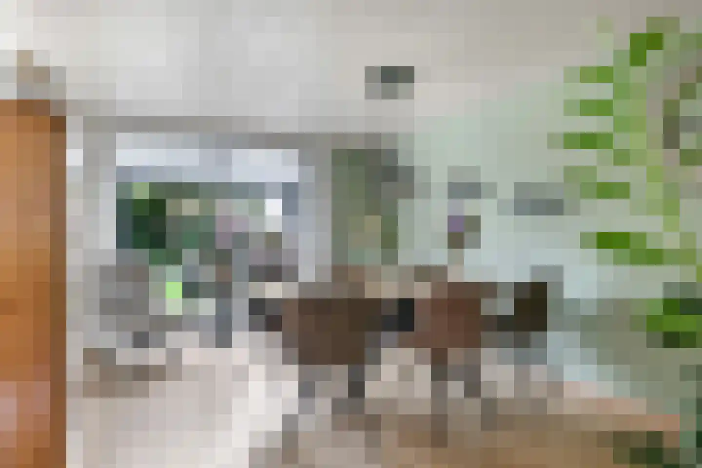 Teresaplein 6 Zetten thumbnail 6