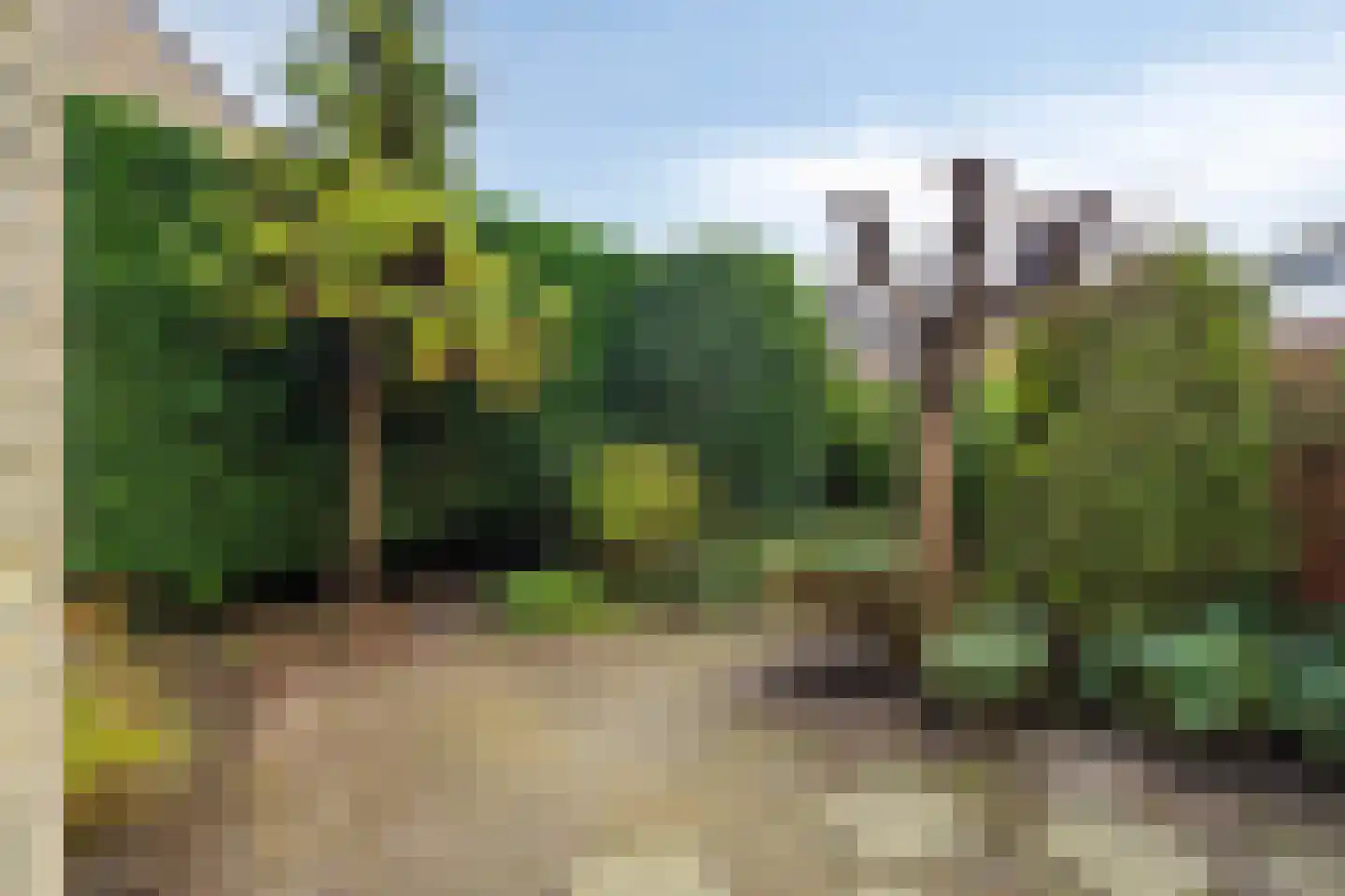 Teresastraat 12 Middelburg thumbnail 21
