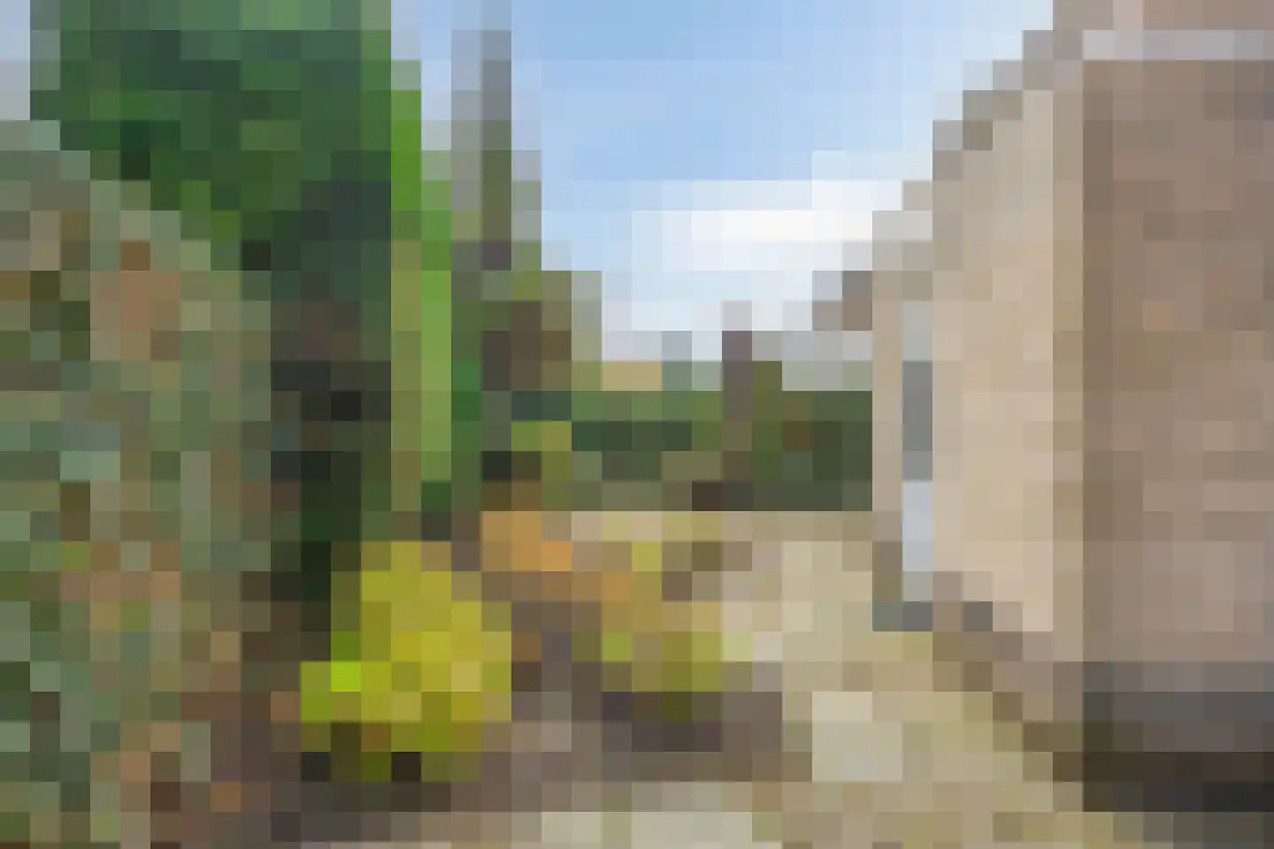 Teresastraat 12 Middelburg thumbnail 23