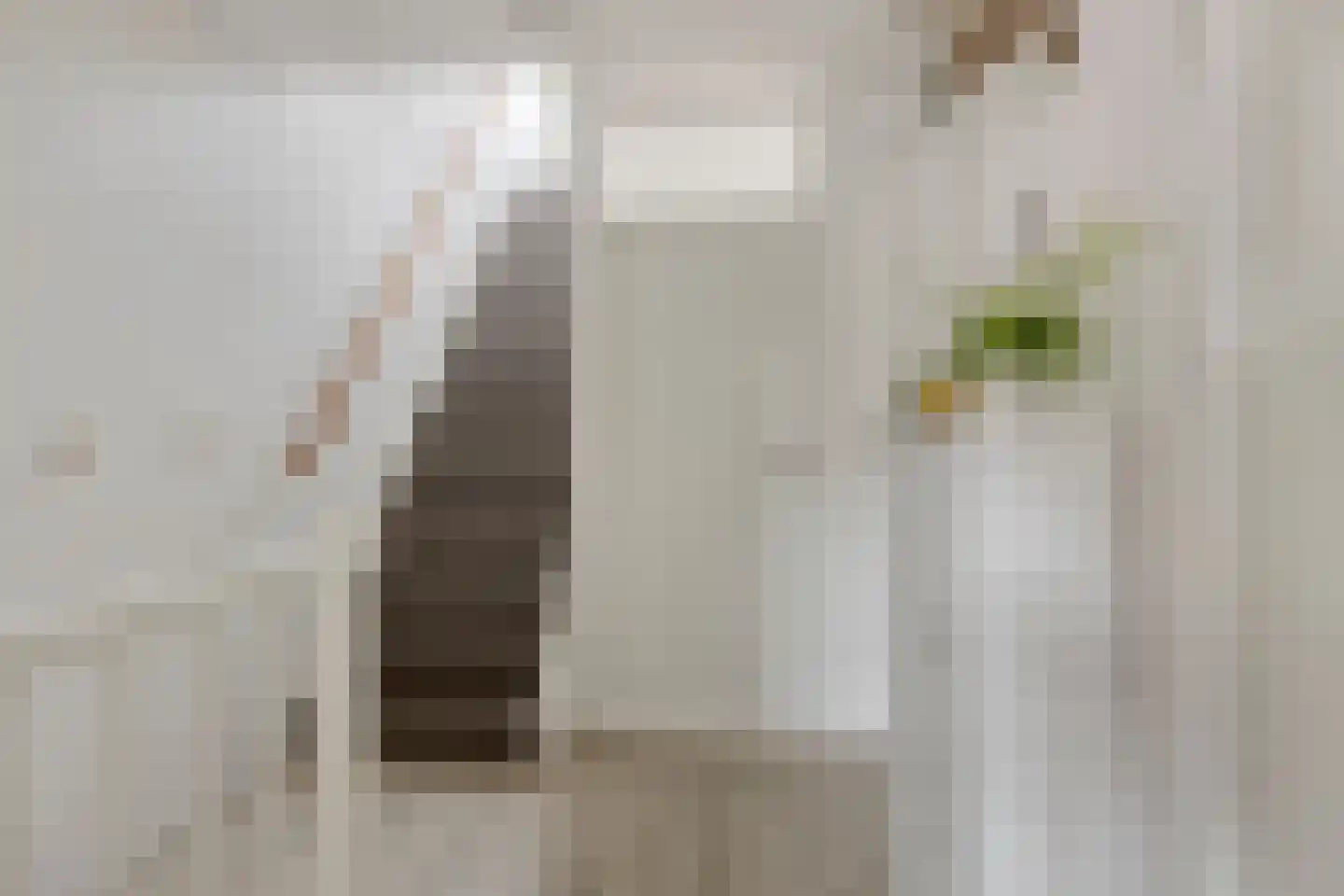 Teresjkowastraat 43 Krommenie thumbnail 27