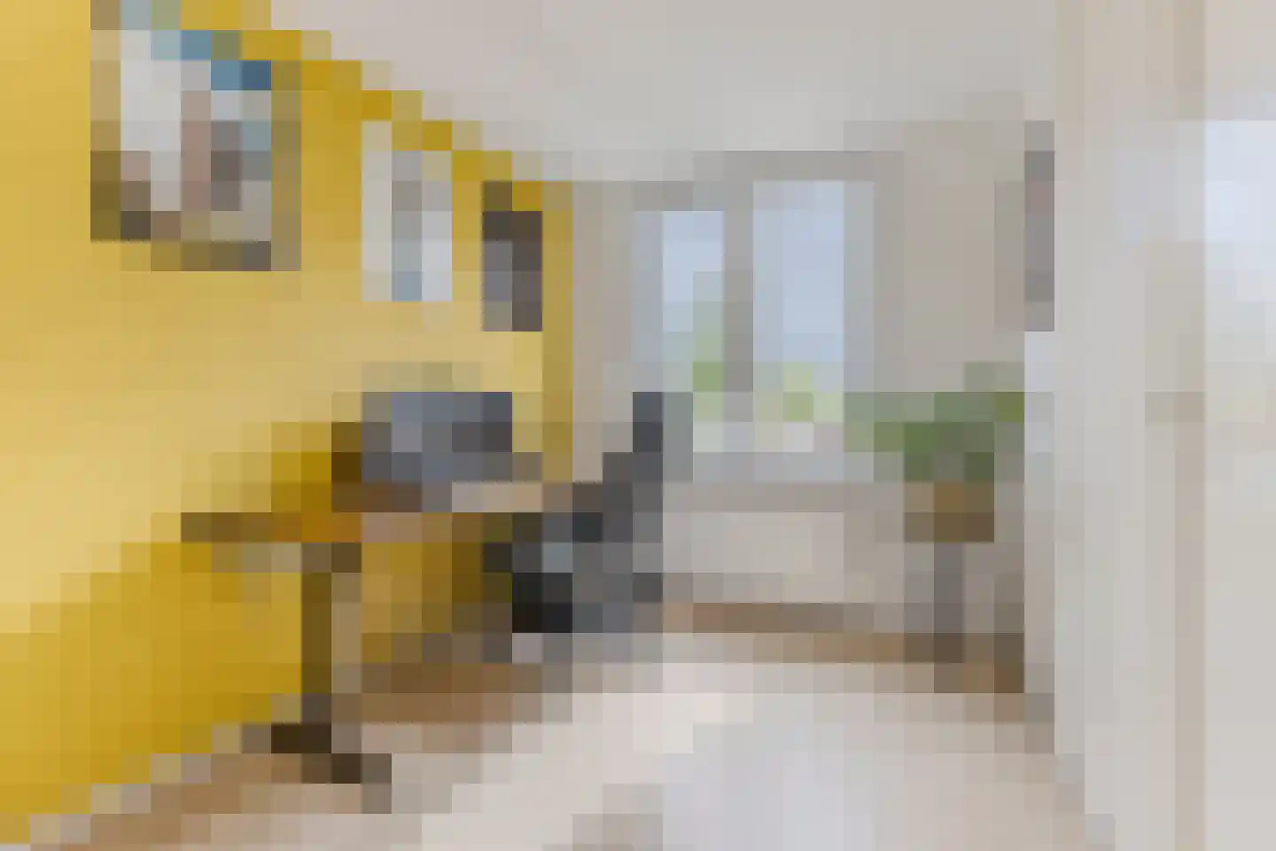 Teresjkowastraat 61 Krommenie thumbnail 17