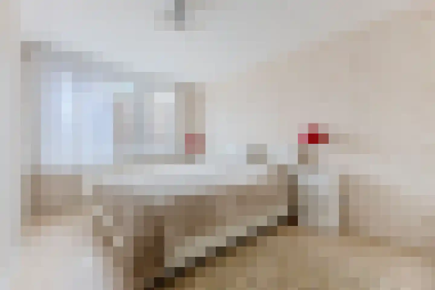 Teresjkowastraat 61 Krommenie thumbnail 19
