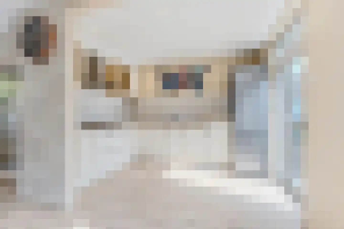 Teresjkowastraat 61 Krommenie thumbnail 8