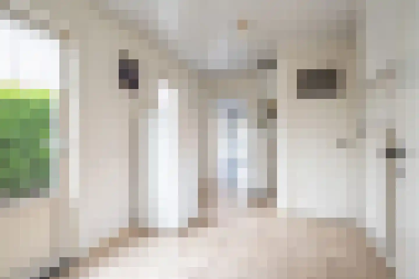 Tergouwen 9 Maasbracht thumbnail 11