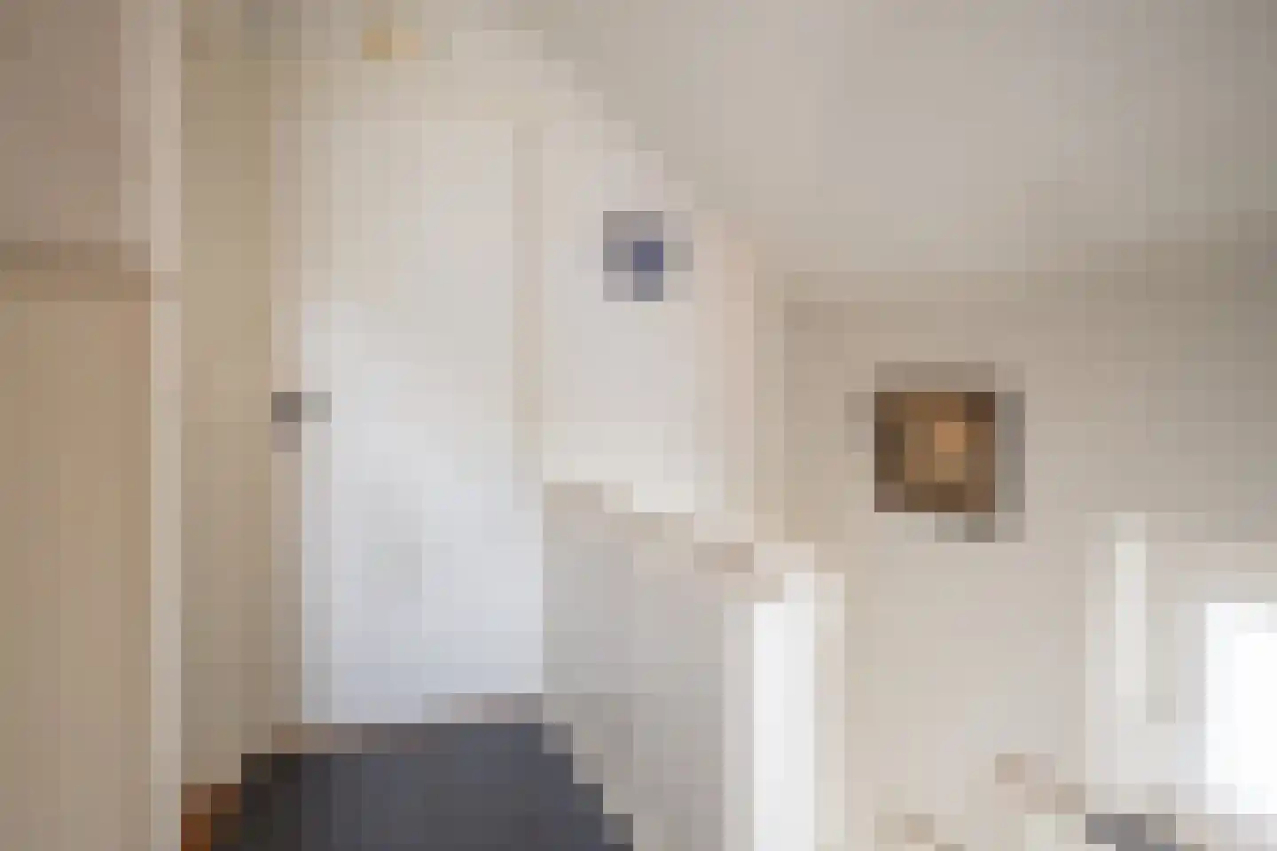 Tergouwen 9 Maasbracht thumbnail 15