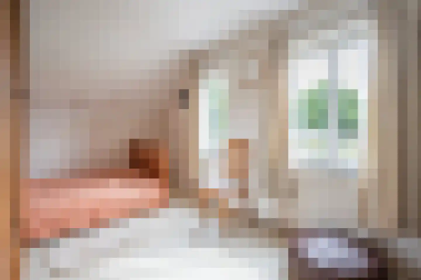 Tergouwen 9 Maasbracht thumbnail 17