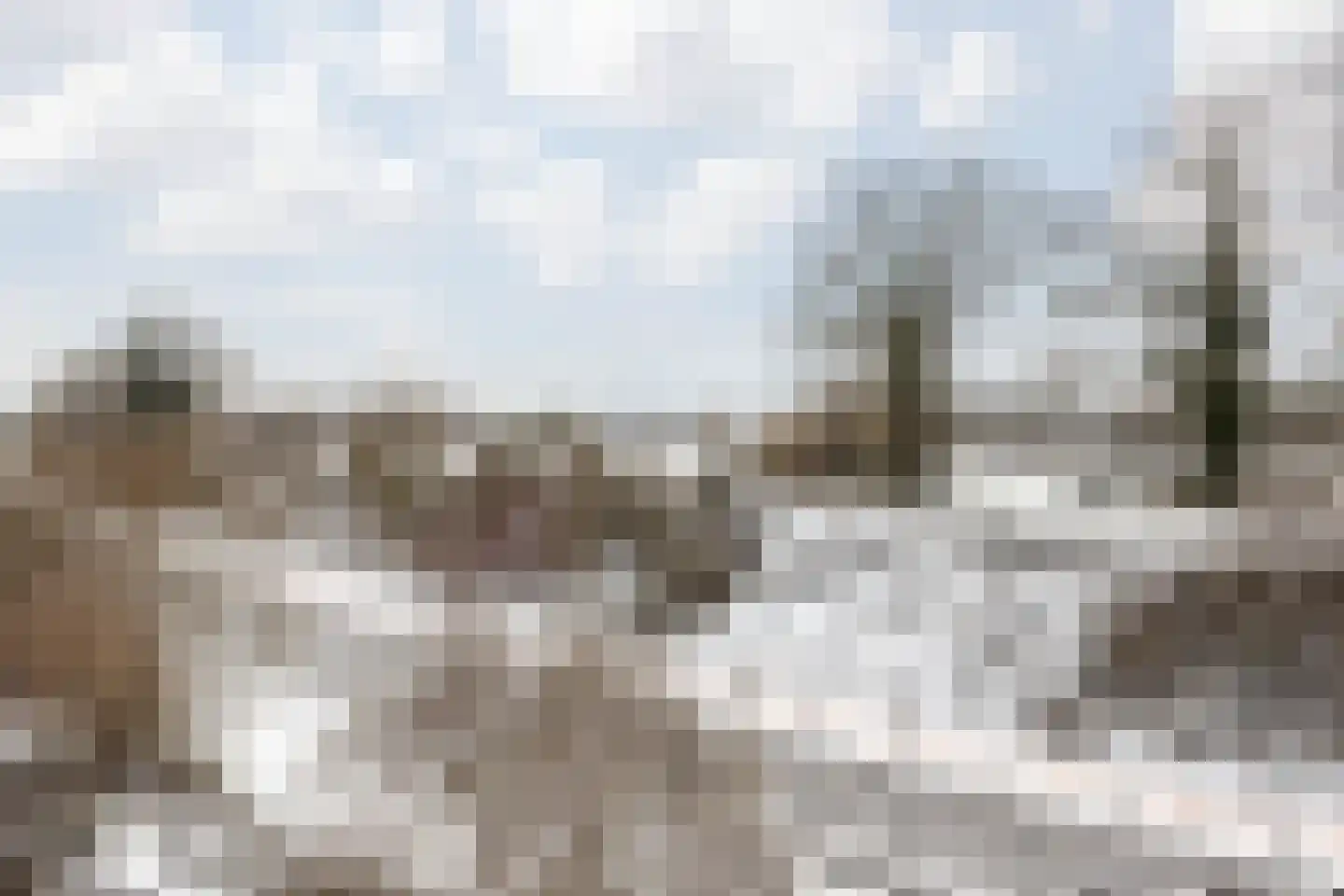 Terhagen 3 Elsloo thumbnail 13