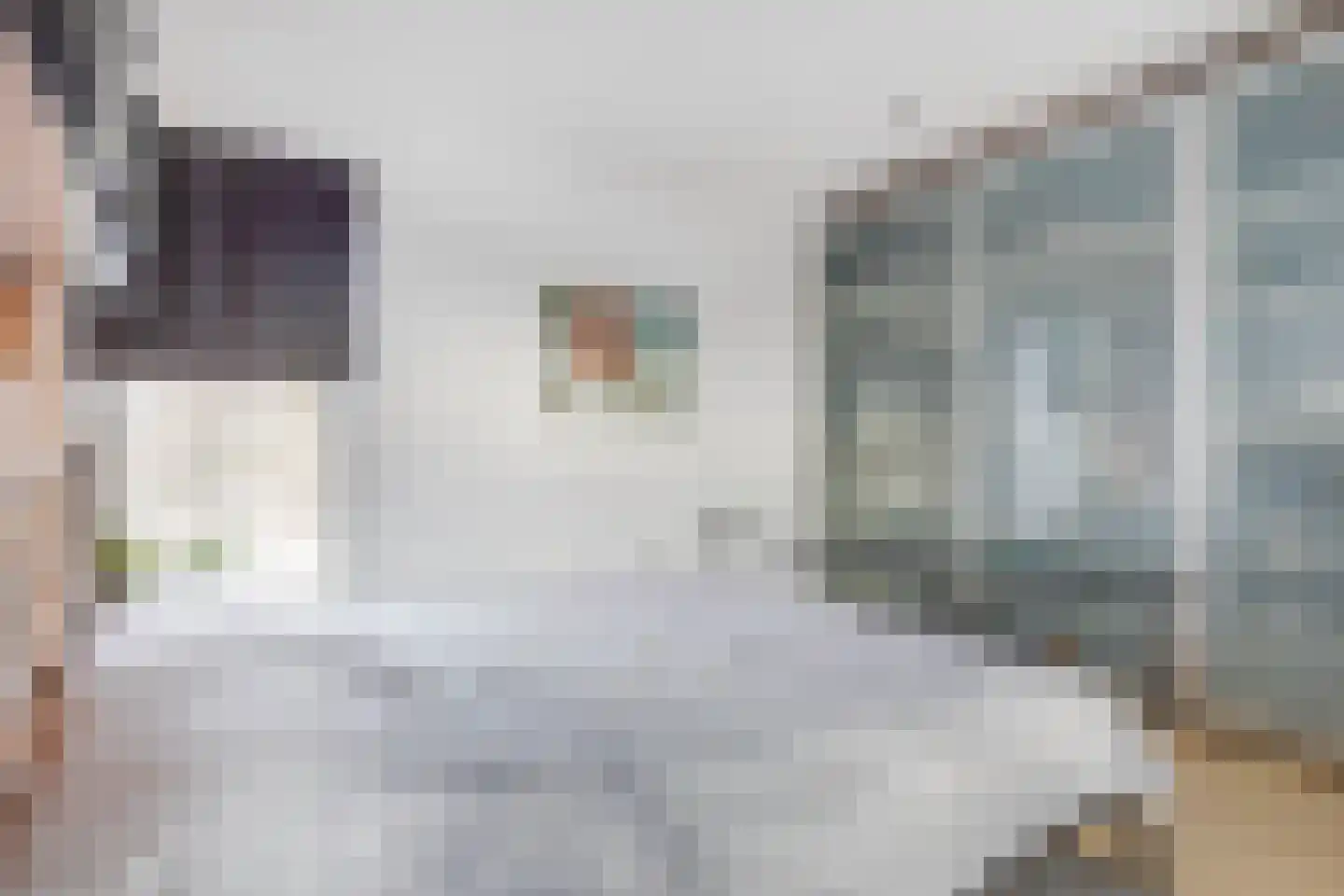 Terhagen 3 Elsloo thumbnail 28