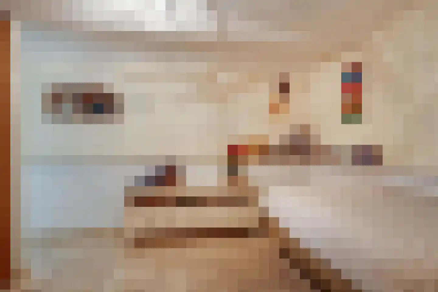 Terhagen 3 Elsloo thumbnail 37