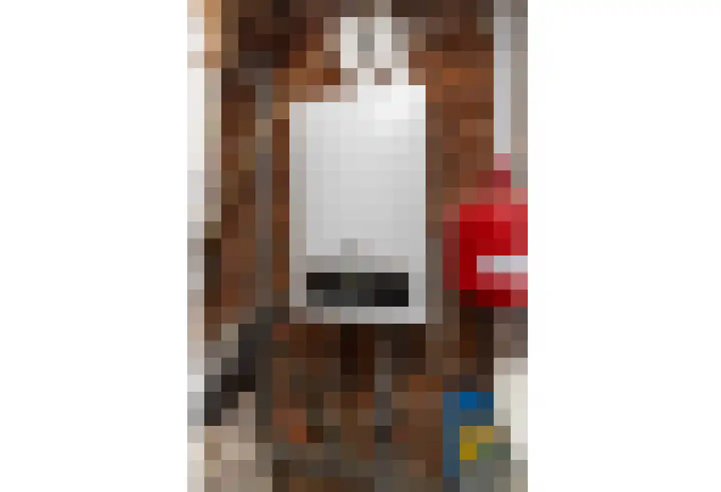 Terhagen 3 Elsloo thumbnail 41