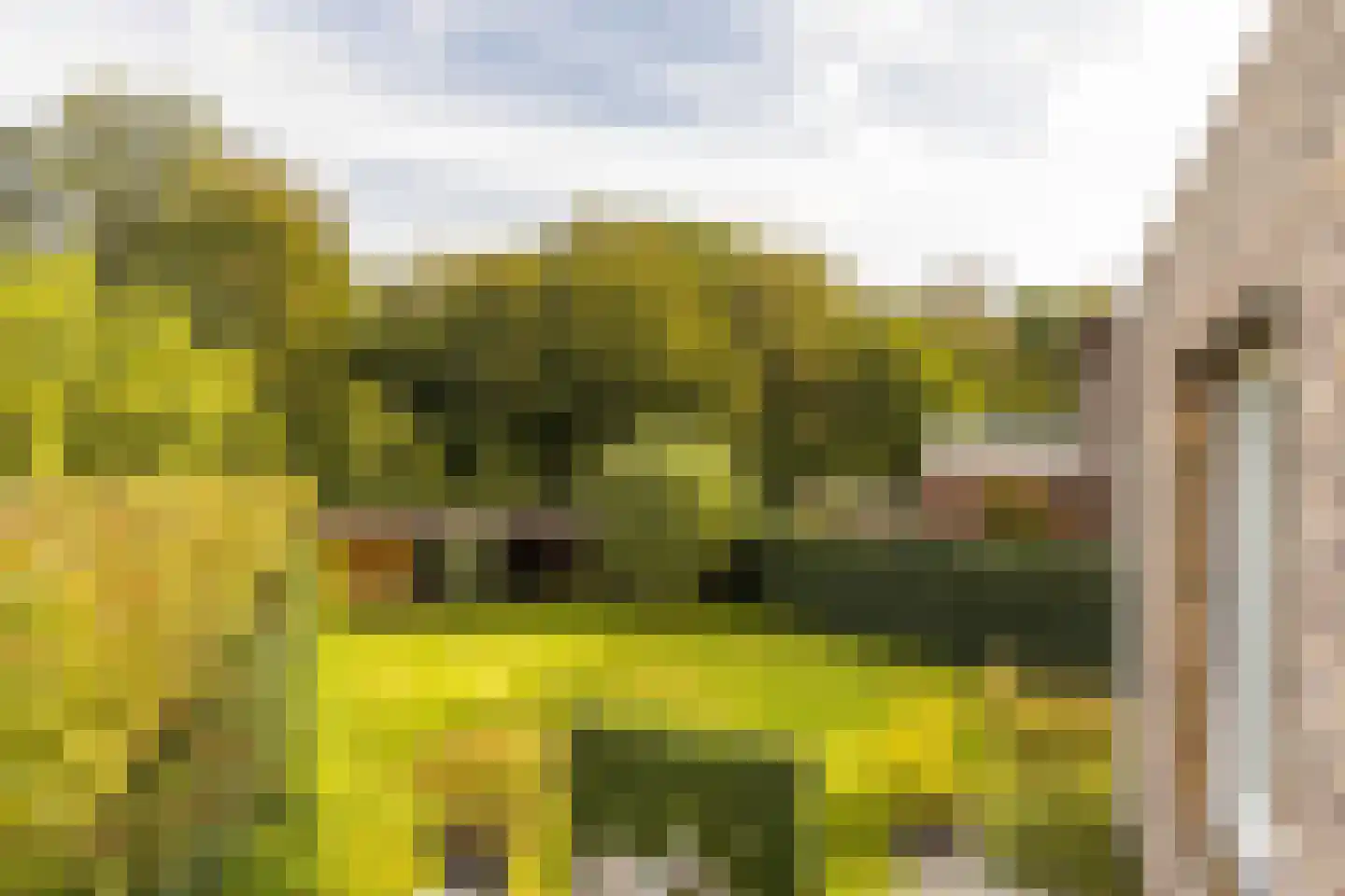Terhagen 3 Elsloo thumbnail 48