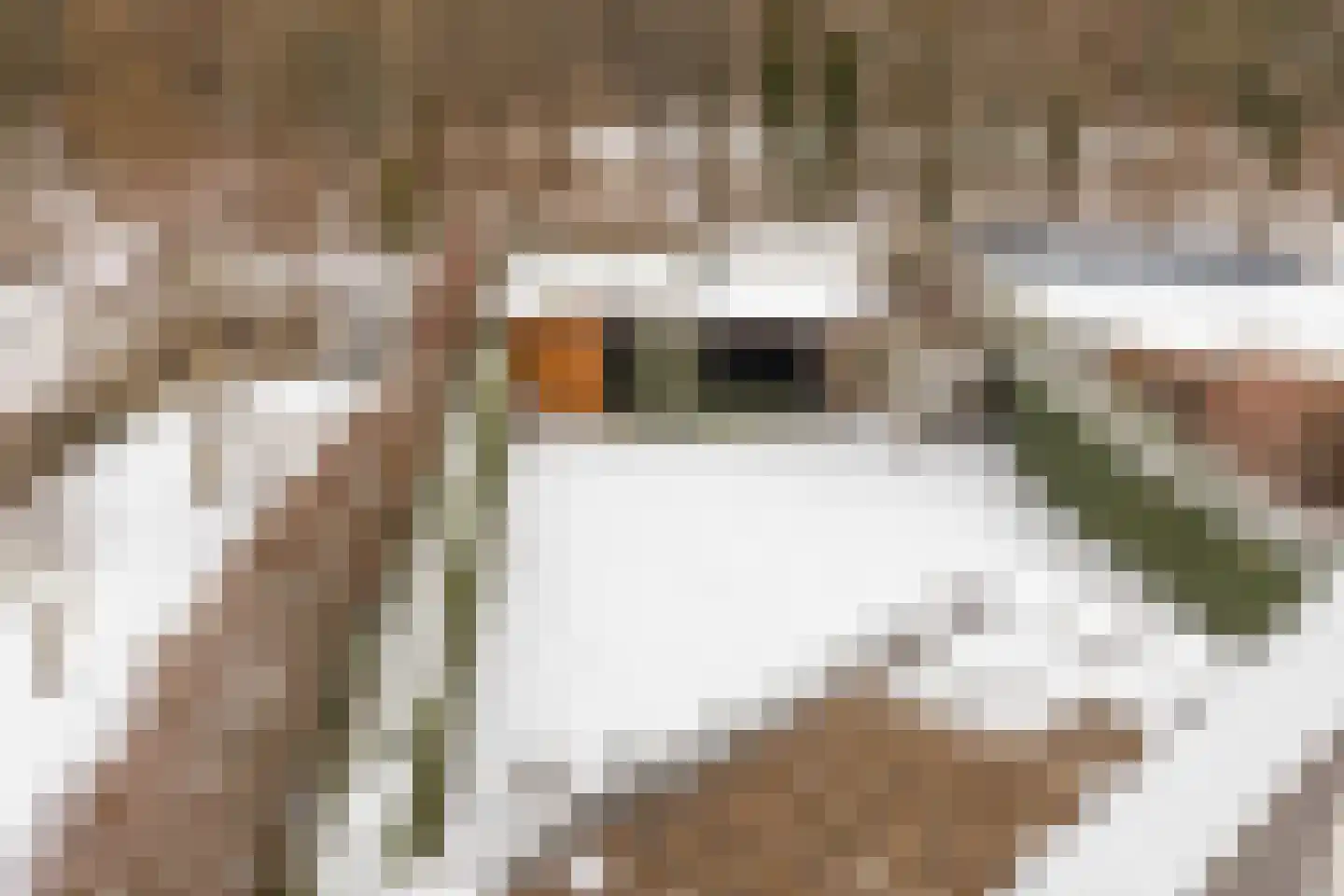 Terhagen 3 Elsloo thumbnail 48