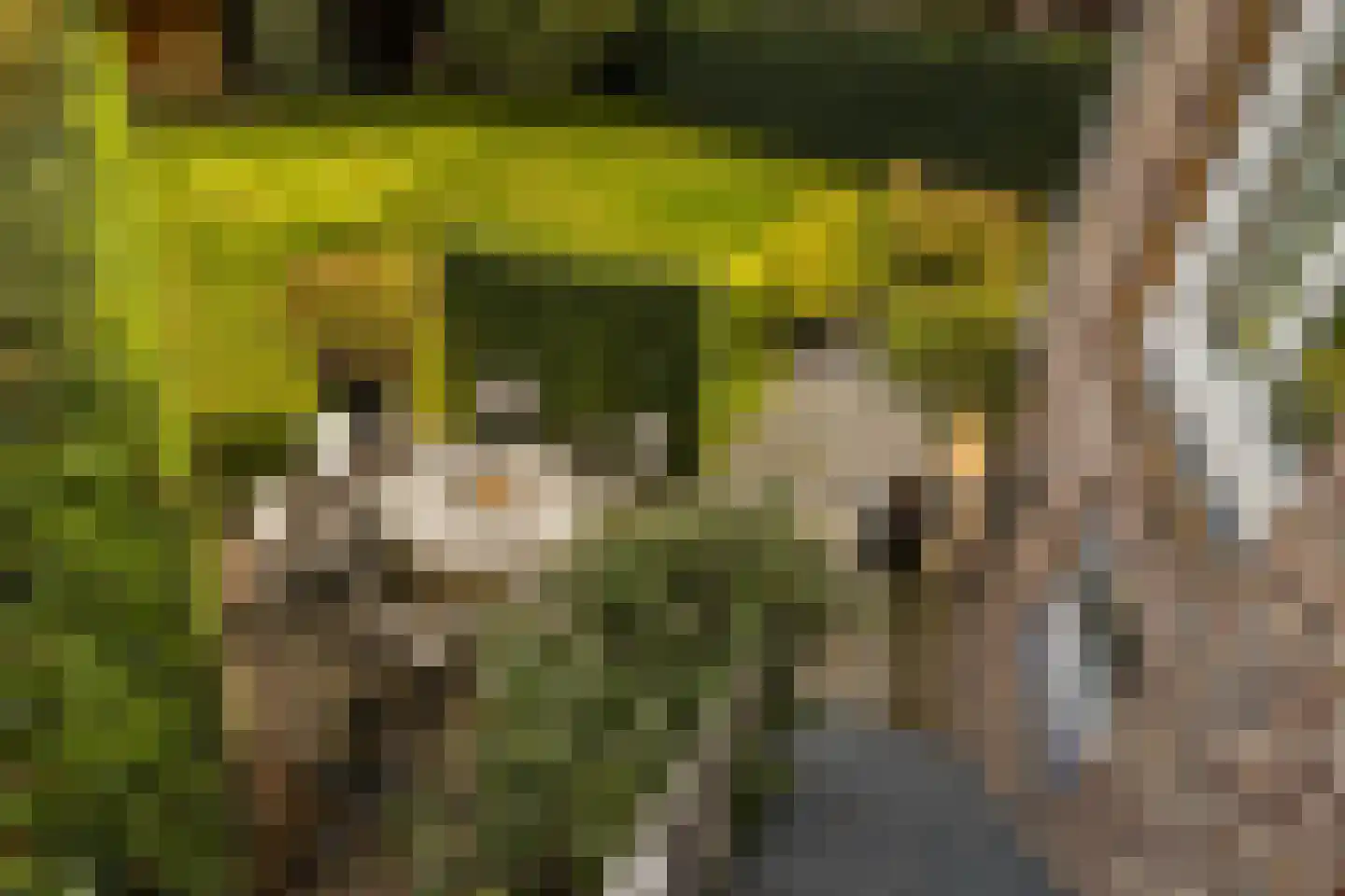 Terhagen 3 Elsloo thumbnail 49
