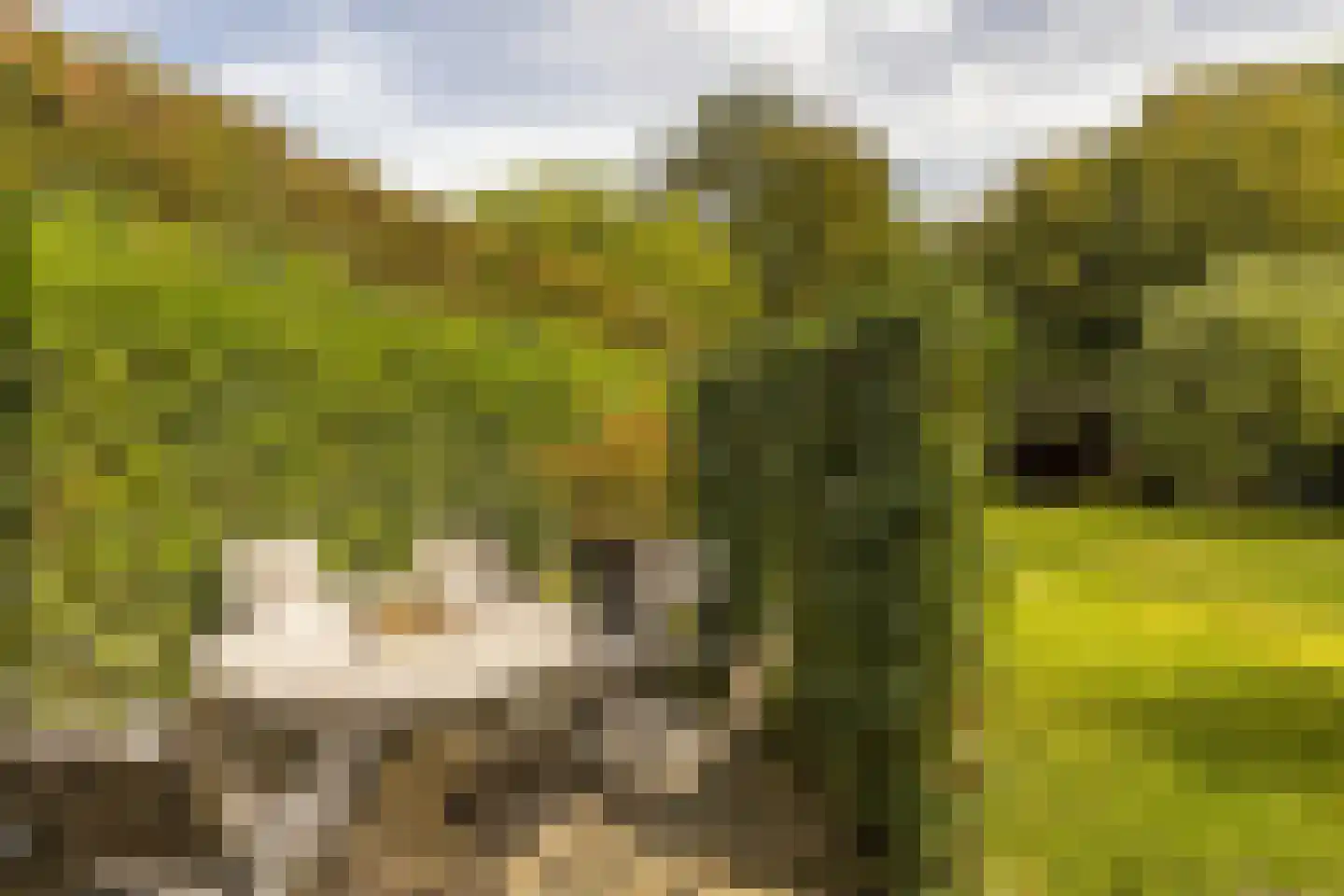 Terhagen 3 Elsloo thumbnail 51