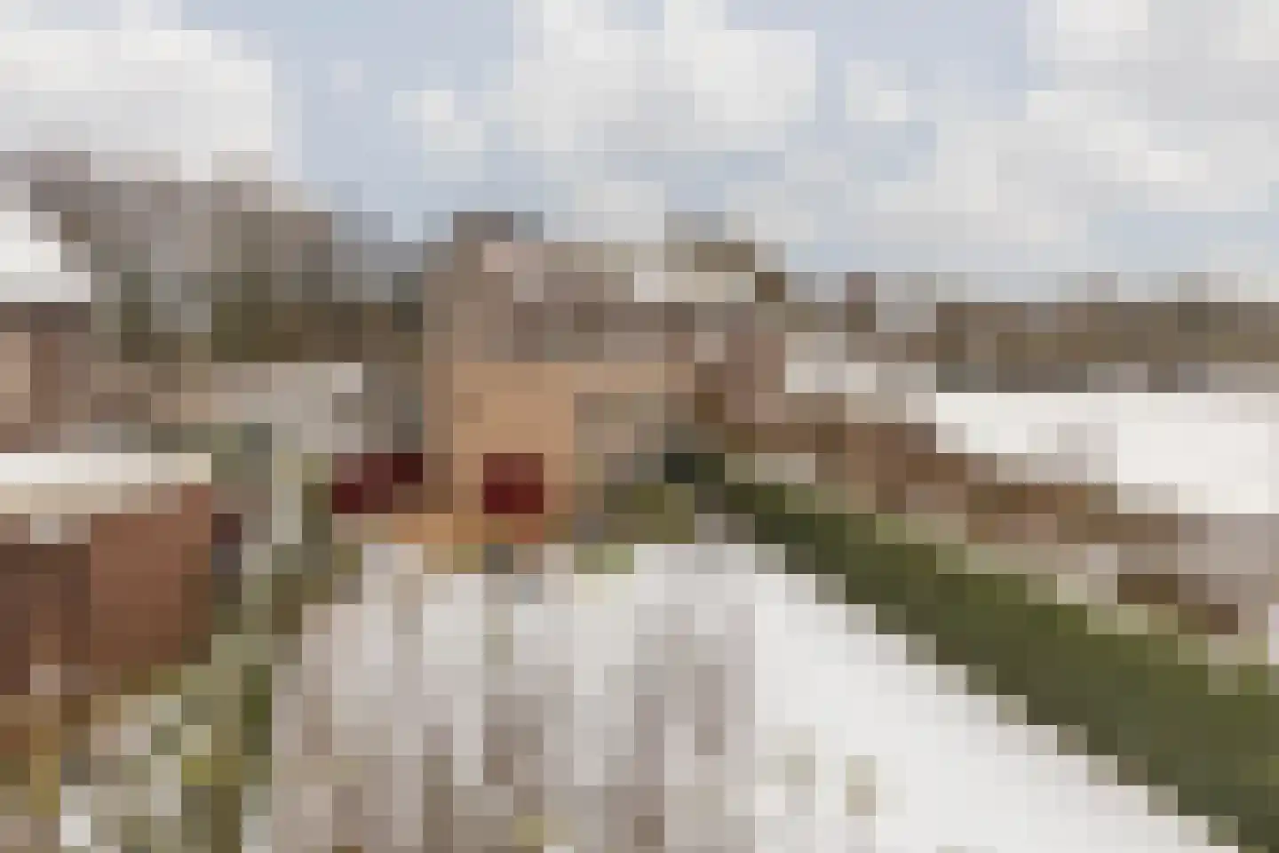 Terhagen 3 Elsloo thumbnail 51