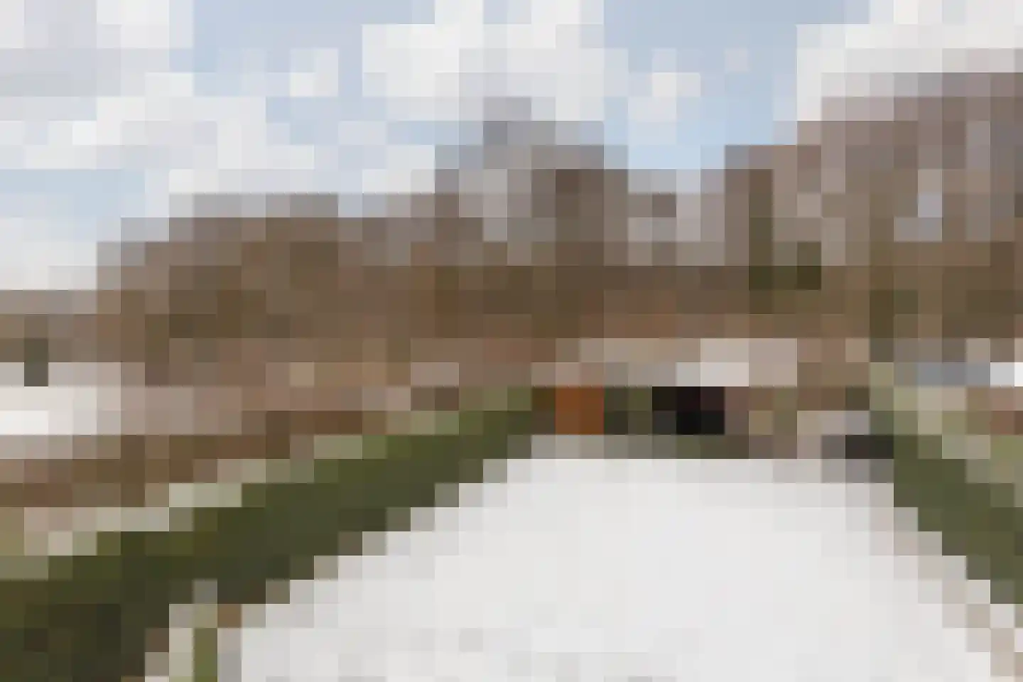 Terhagen 3 Elsloo thumbnail 55