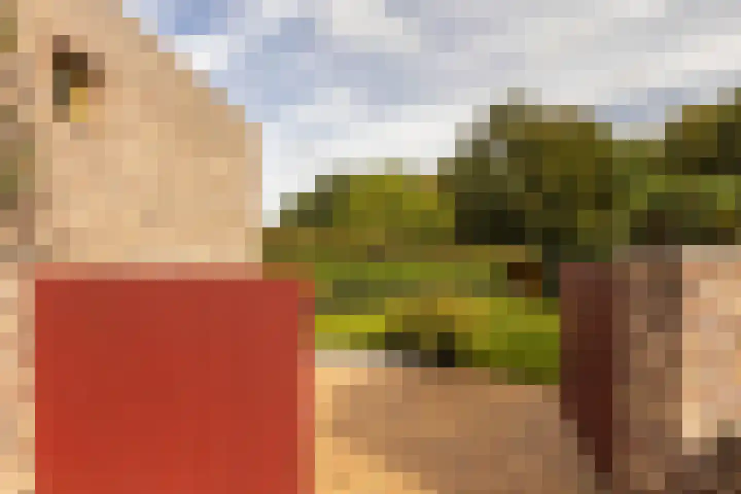 Terhagen 3 Elsloo thumbnail 55