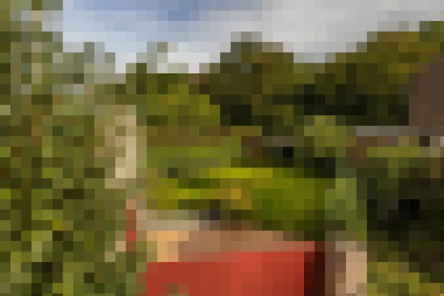 Terhagen 3 Elsloo thumbnail 57