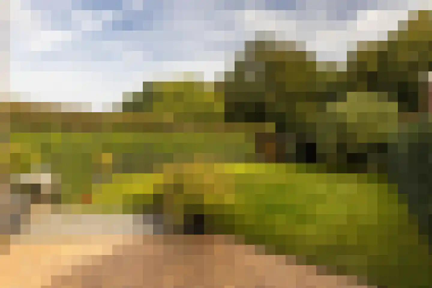 Terhagen 3 Elsloo thumbnail 58