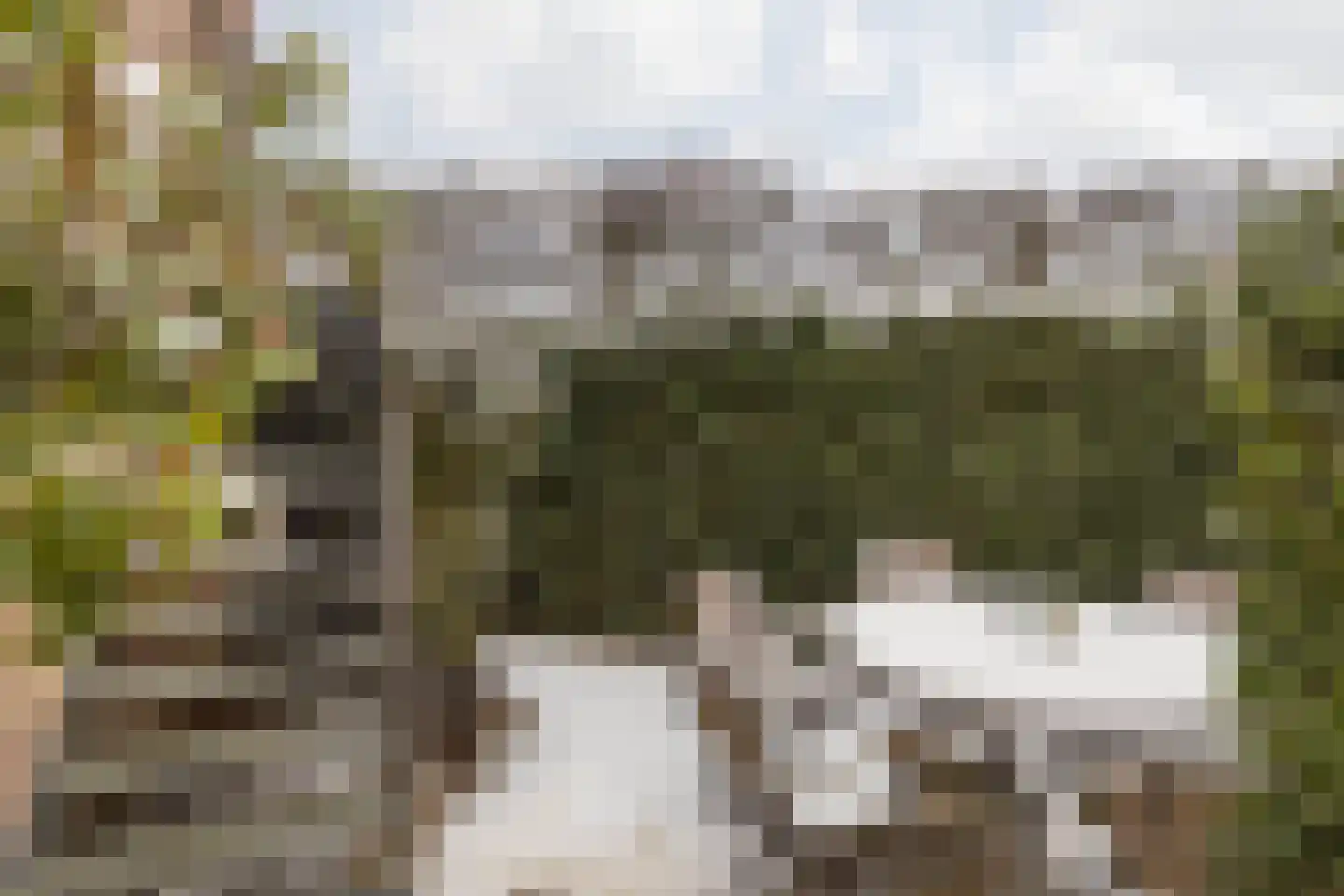 Terhagen 3 Elsloo thumbnail 58