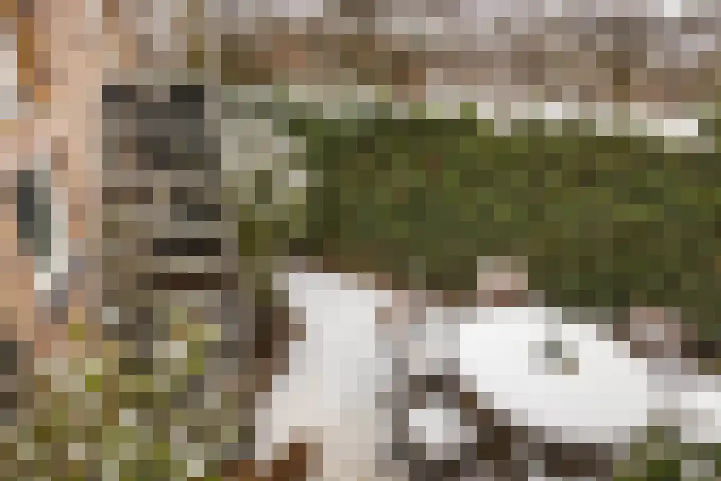 Terhagen 3 Elsloo thumbnail 59