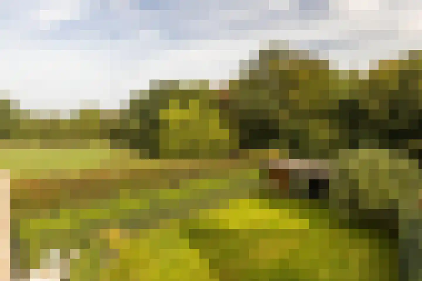 Terhagen 3 Elsloo thumbnail 59