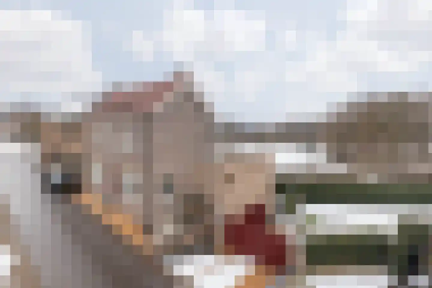 Terhagen 3 Elsloo thumbnail 6