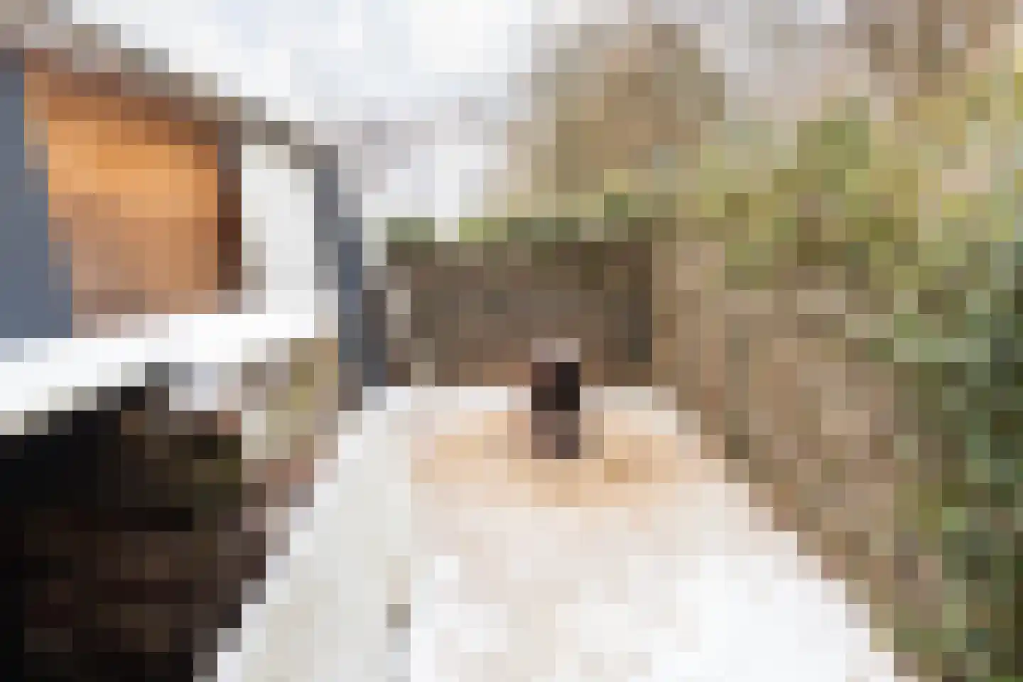Terhagen 3 Elsloo thumbnail 60