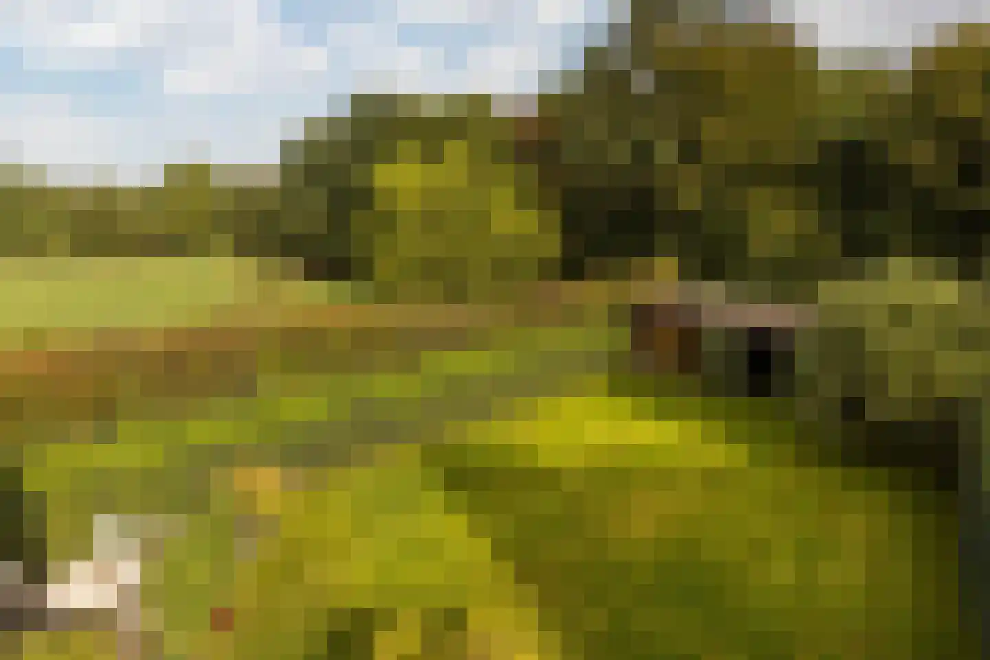 Terhagen 3 Elsloo thumbnail 60