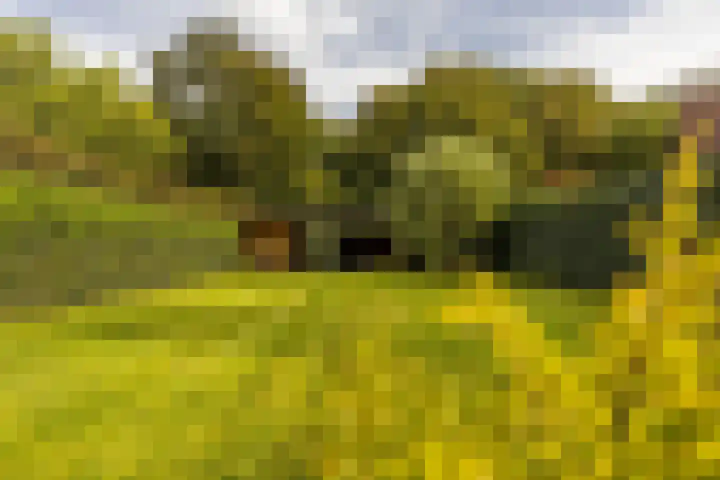 Terhagen 3 Elsloo thumbnail 61