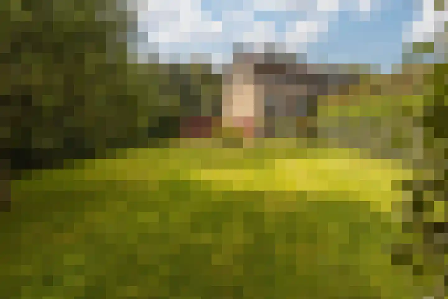 Terhagen 3 Elsloo thumbnail 62
