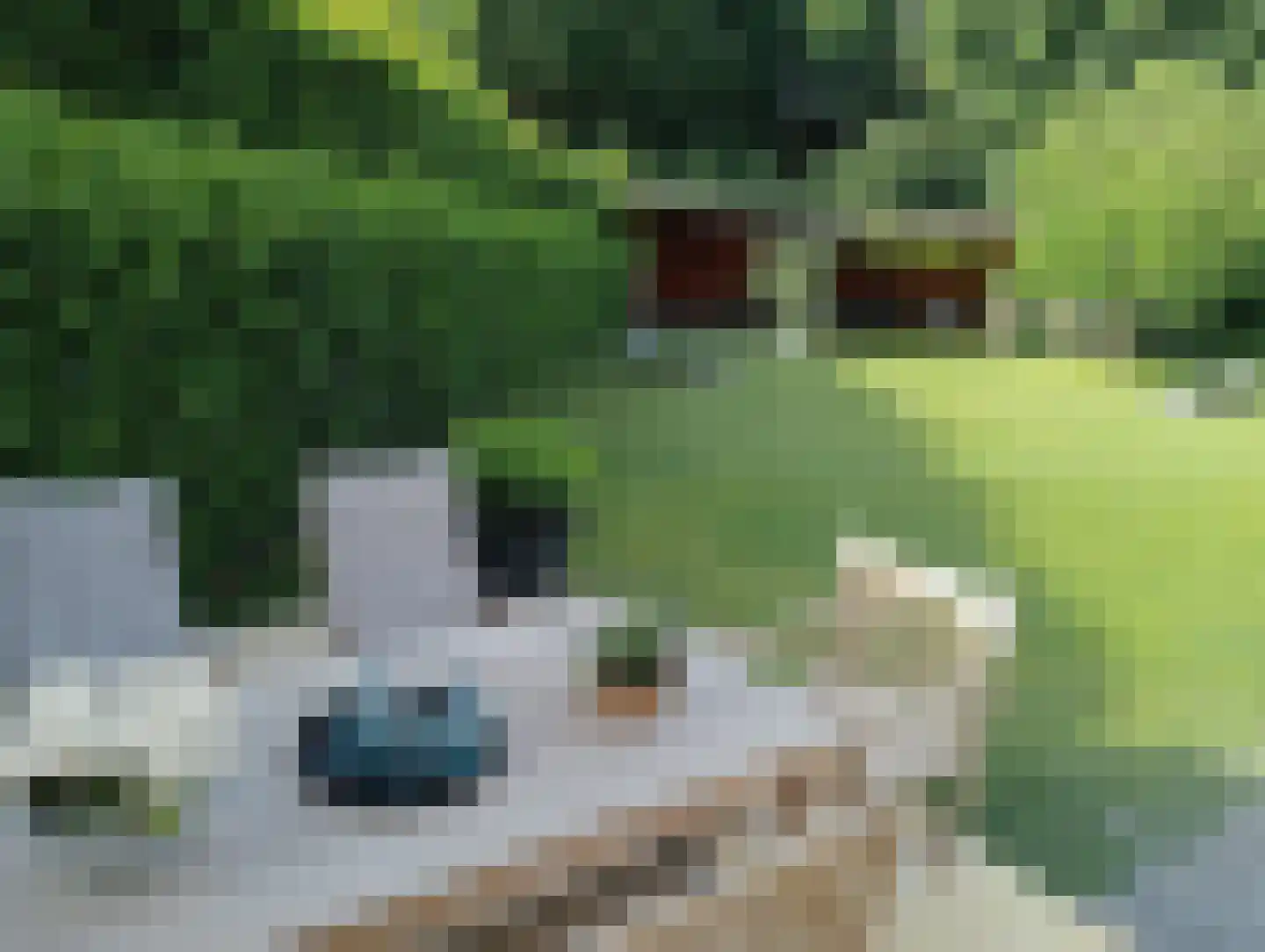 Terhagen 3 Elsloo thumbnail 63