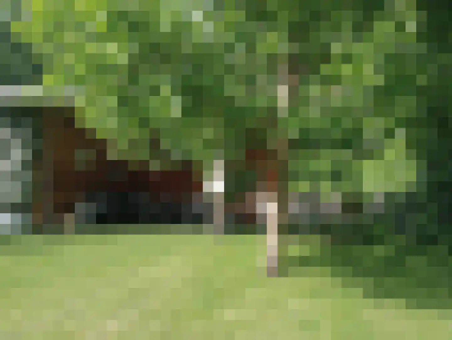 Terhagen 3 Elsloo thumbnail 65