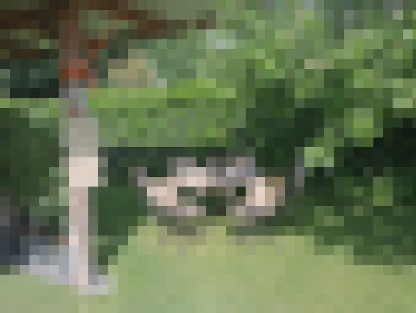 Terhagen 3 Elsloo thumbnail 66