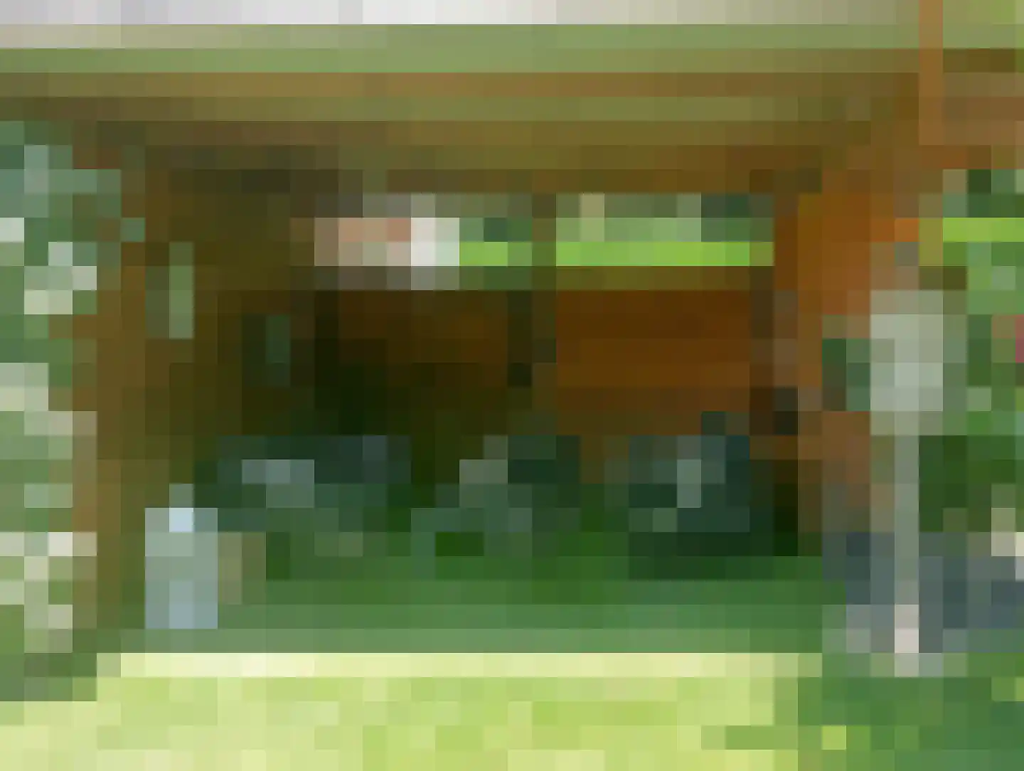 Terhagen 3 Elsloo thumbnail 67