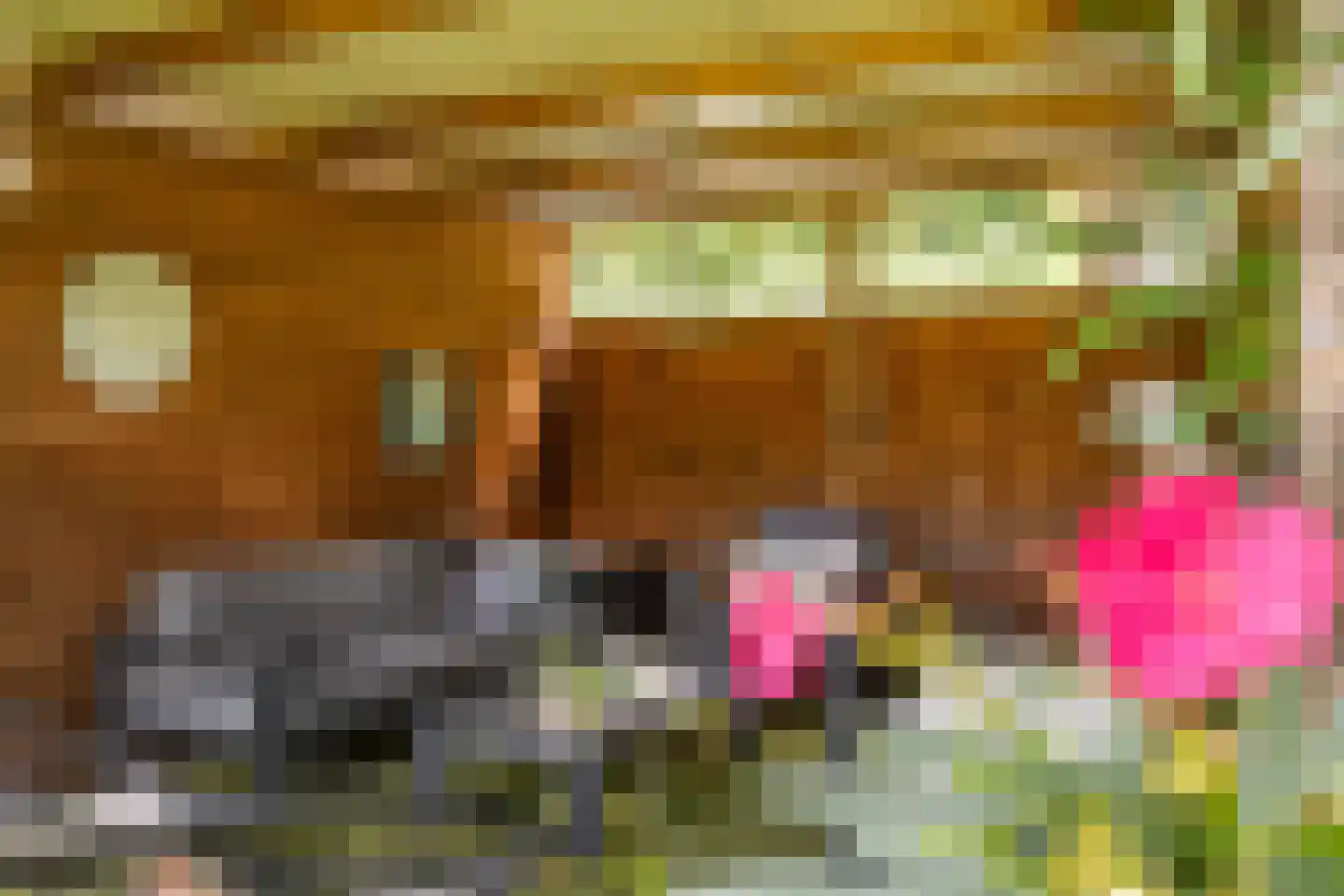 Terhagen 3 Elsloo thumbnail 68
