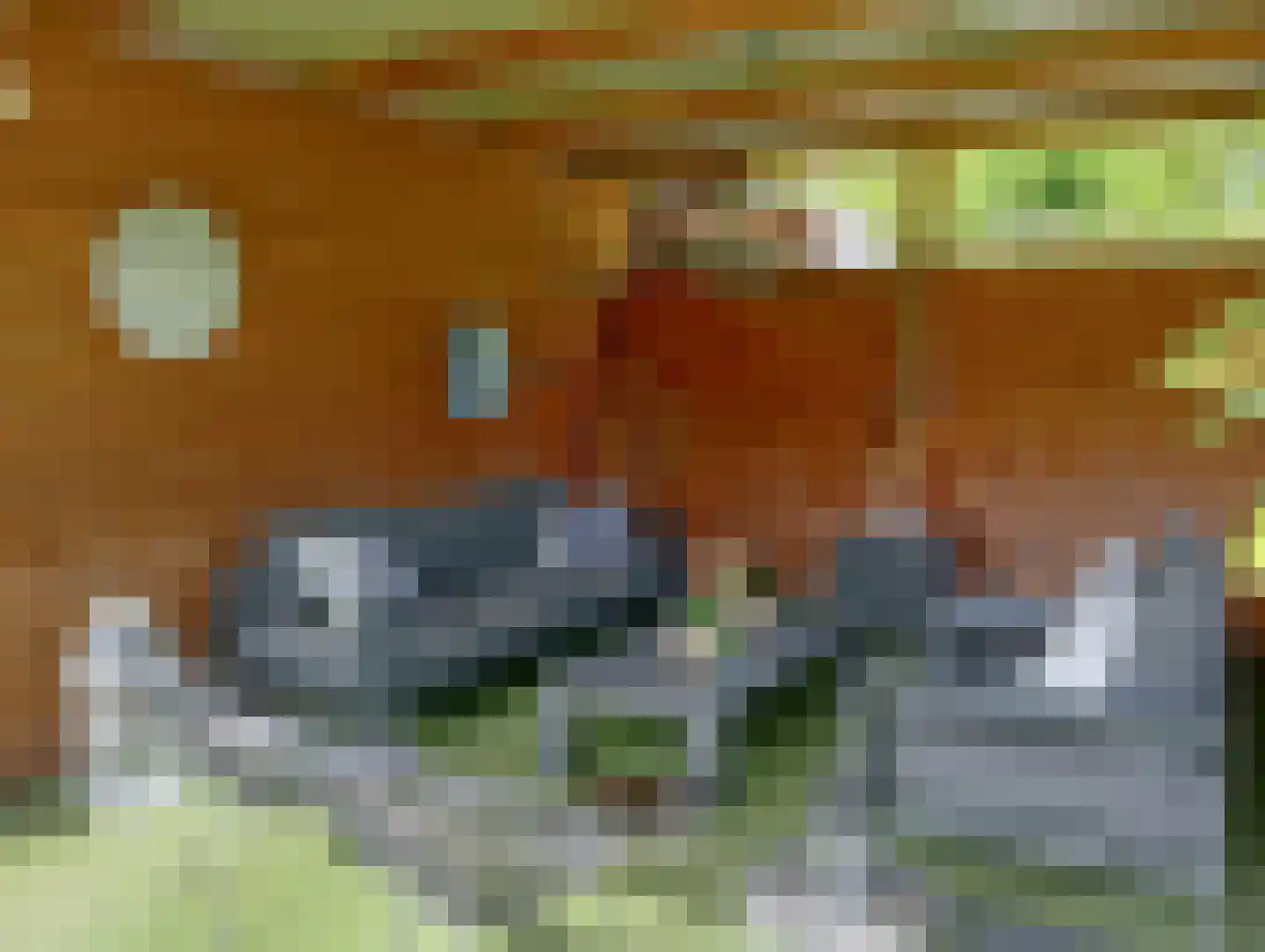Terhagen 3 Elsloo thumbnail 69