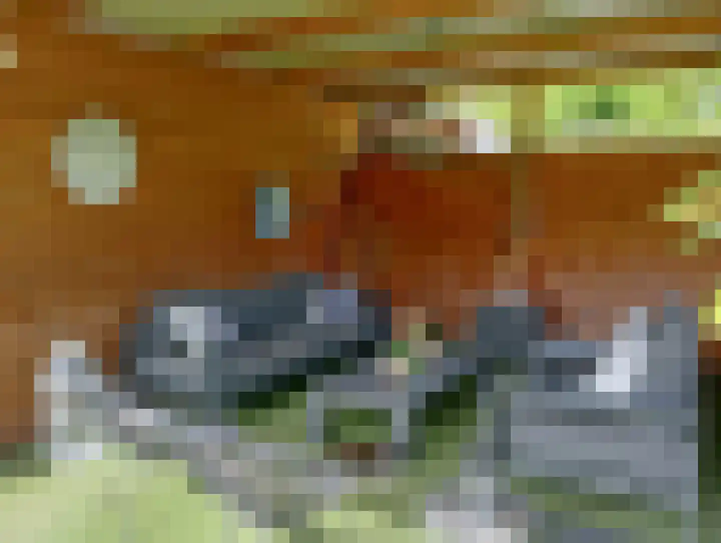 Terhagen 3 Elsloo thumbnail 69